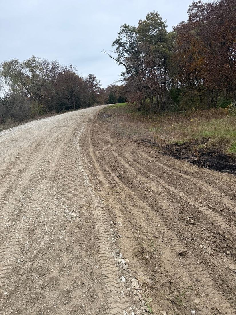Gravel lane with tire tracks and ruts worn into the surface, trees along the left side