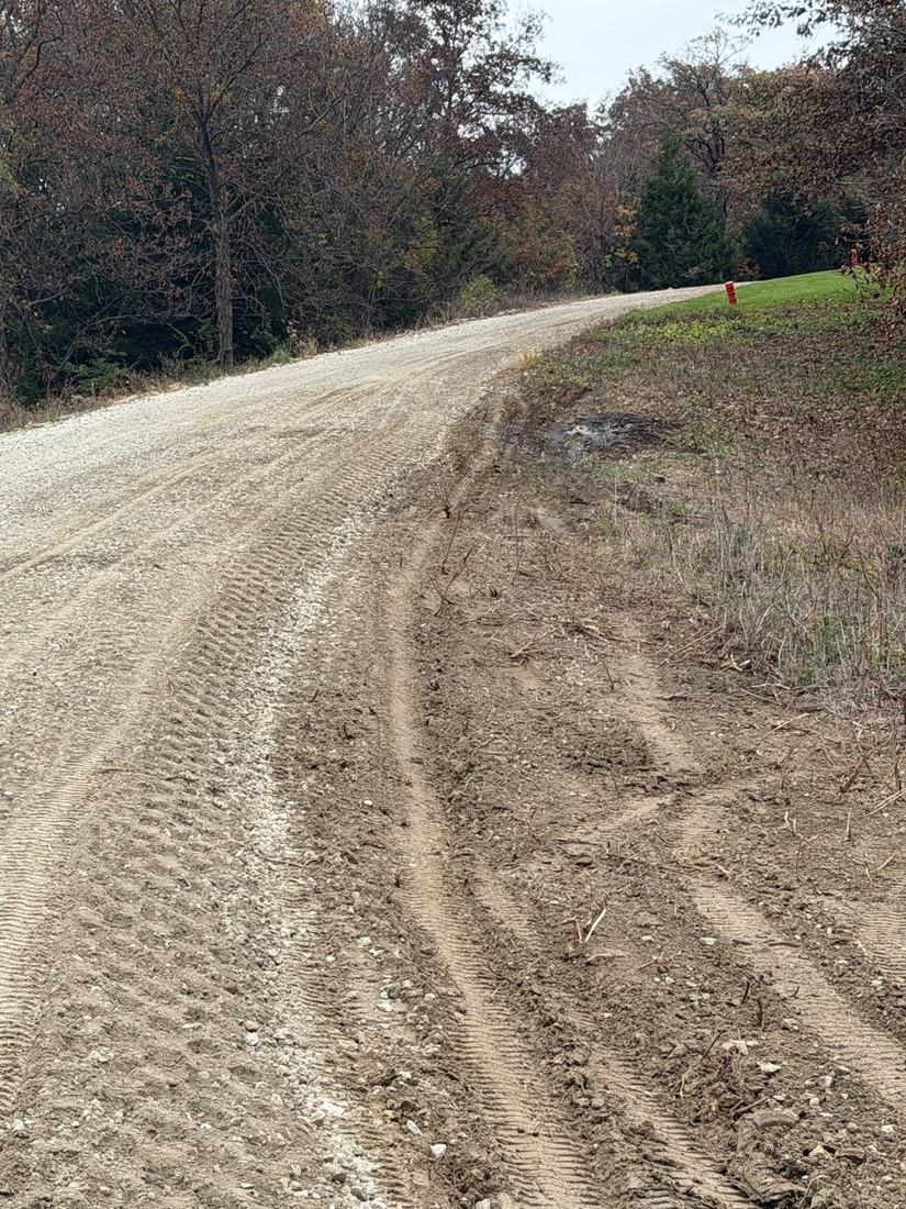 Rutted gravel lane with loose stone on the surface and trees in the background
