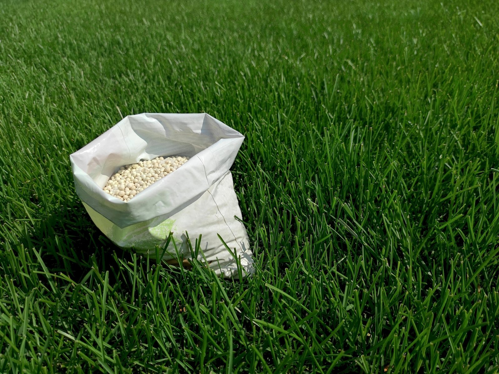 Lawn care and weed control in Stuart, Iowa
