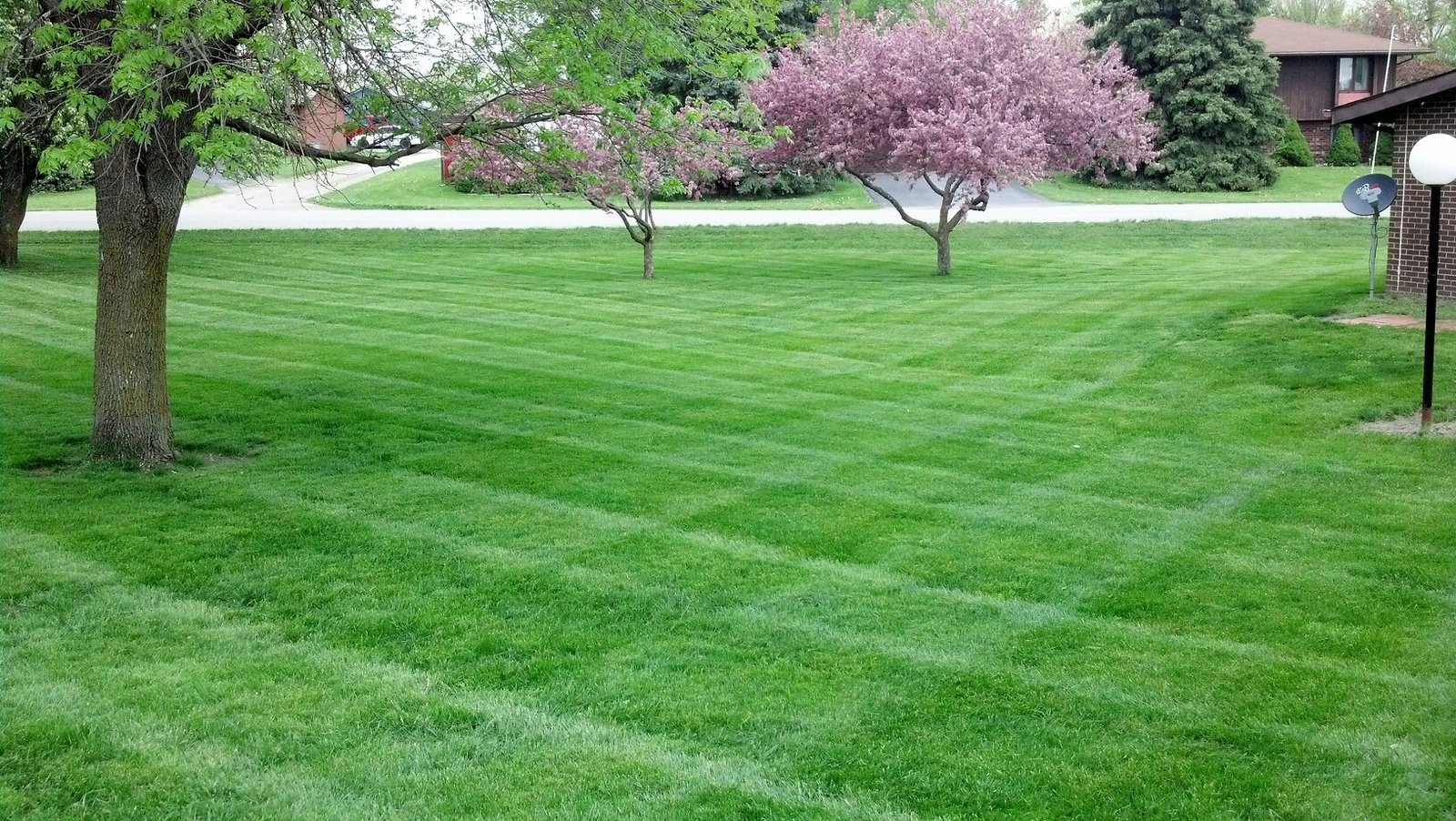 Lawn care service in Winterset, Iowa