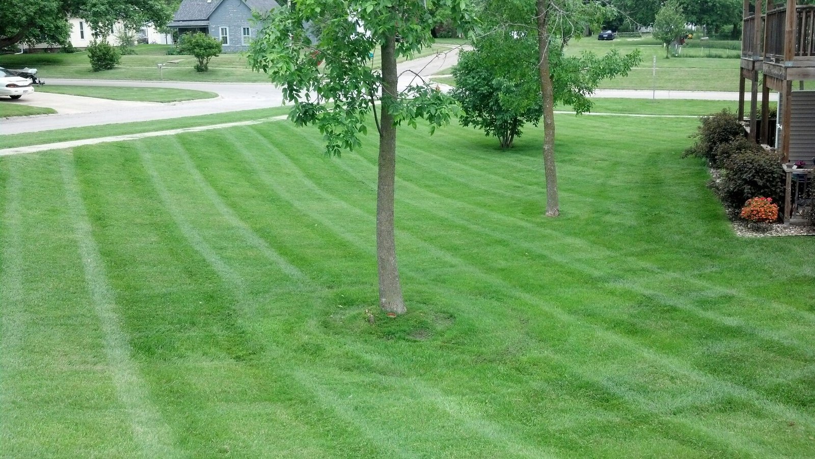Schwinger Lawn Service -- lawn mowing and tree care in Stuart, Iowa